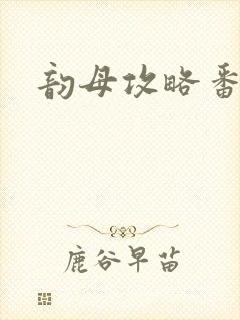 韵母攻略番外3