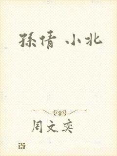 孙倩 小北封面
