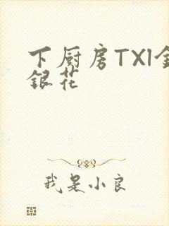 下厨房TXl金银花