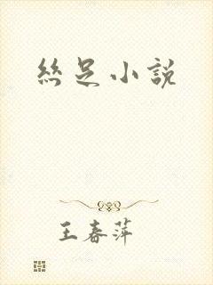 丝足小说封面