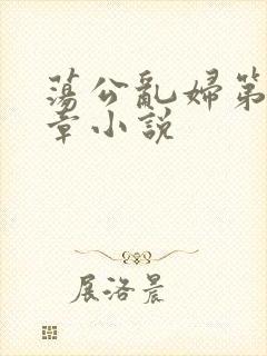 荡公乱妇第51章小说
