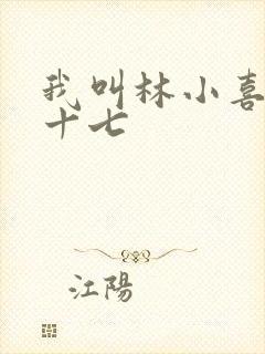 我叫林小喜今年十七