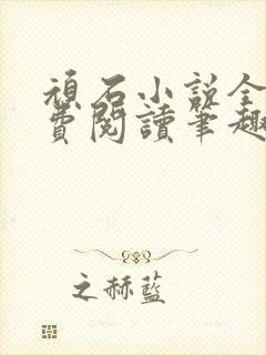 顽石小说全文免费阅读笔趣阁