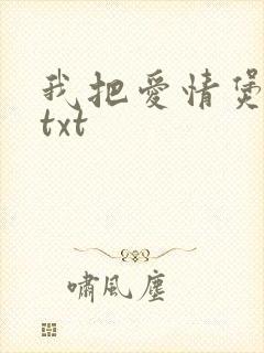我把爱情煲成汤txt
