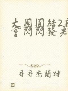 大团圆结2亲情会闪闪发光亲情会2