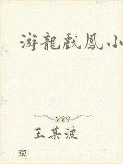 游龙戏凤小说