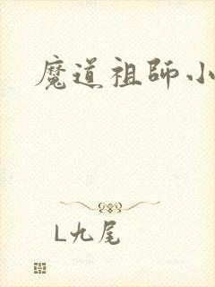 魔道祖师小说封面