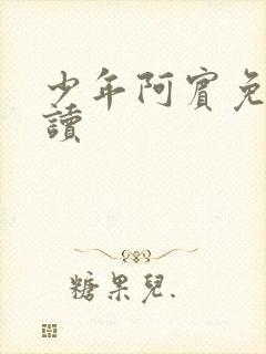少年阿宾免费阅读
