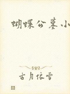 蝴蝶公墓小说