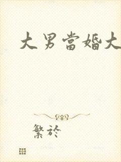 大男当婚大结局封面