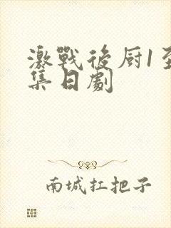 激战后厨1至5集日剧