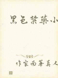 黑色禁药小说