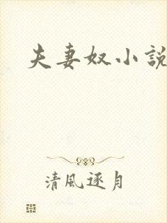 夫妻奴小说
