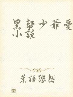 黑帮少爷爱上我小说