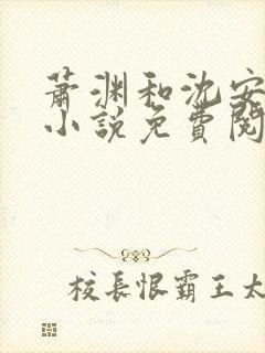 萧渊和沈安安的小说免费阅读