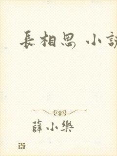 长相思 小说