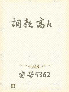调教高h
