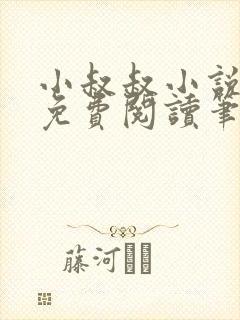 小叔叔小说全文免费阅读笔趣阁封面
