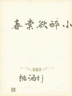 春棠欲醉小说封面