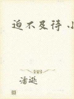 迫不及待 小穴