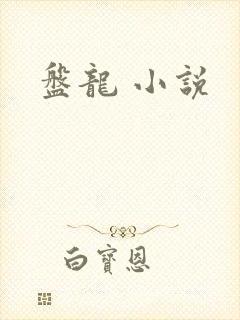 盘龙 小说