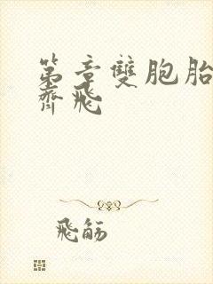 第章双胞胎姐妹齐飞