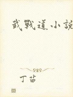 武战道小说封面