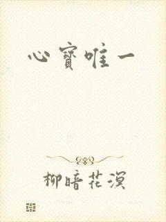 心宝唯一
