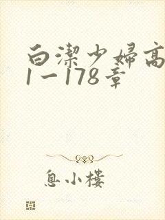 白洁少妇高义第1一178章封面