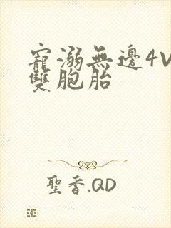 宠溺无边4V2双胞胎