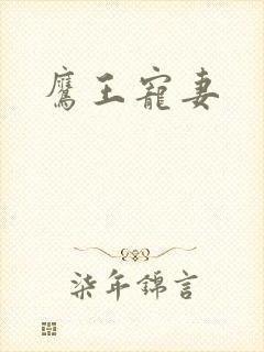 鹰王宠妻
