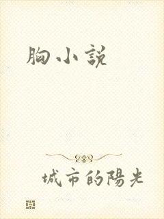 胸小说