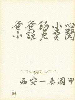 爸爸的小心肝儿小说免费阅读