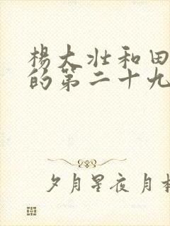 杨大壮和田桂花的第二十九