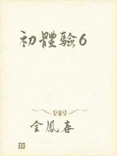 初体验6封面