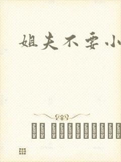 姐夫不要小说
