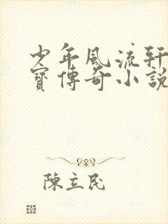 少年风流轩辕大宝传奇小说