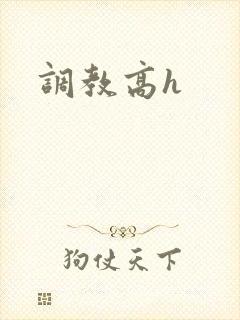 调教高h