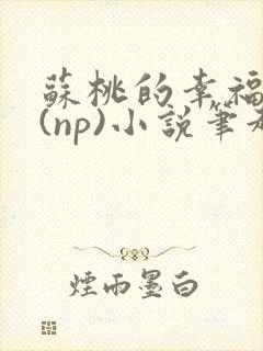 苏桃的幸福生活(np)小说笔趣阁沐沐