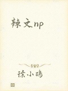 辣文np