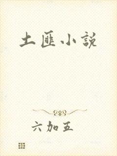 土匪小说