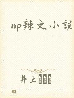 np辣文小说封面