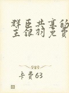 群臣共享的小公主银羽免费阅读