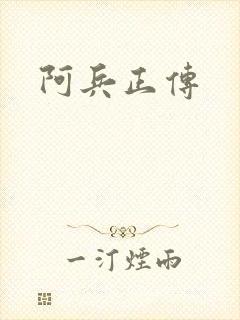 阿兵正传封面
