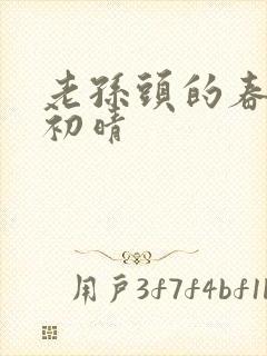 老孙头的春天林初晴封面