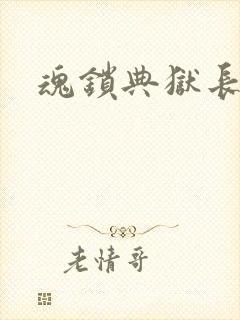 魂锁典狱长封面