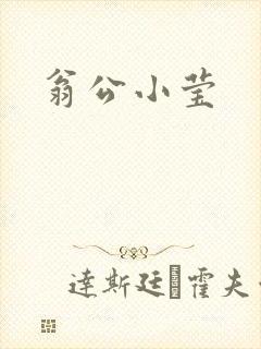 翁公小莹