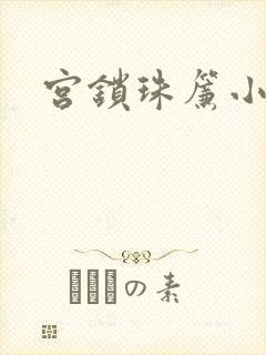 宫锁珠帘小说