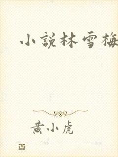 小说林雪梅封面