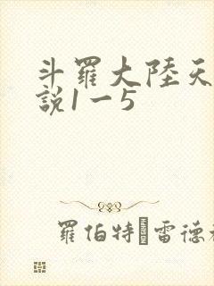 斗罗大陆天狂传说1一5